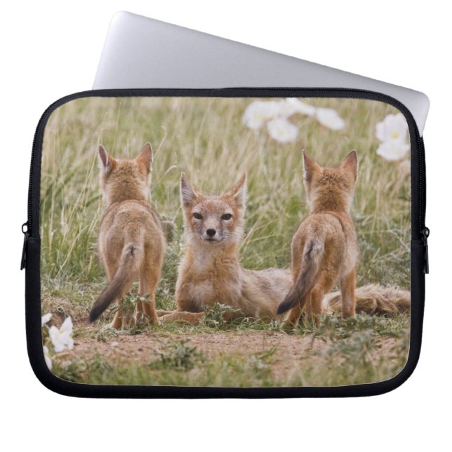 Funda Para Portátil Niña de Swift Fox (Vulpes velox) con (Frente)