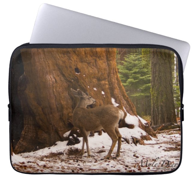 Funda Para Portátil Noche de Boogie de Nueva York (Frente)