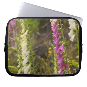 Funda Para Portátil Norteamérica, Canadá, Islas de la Reina Carlota, 2