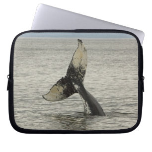 Funda Para Portátil Norteamérica, EE. UU., AK, Paso Interior. Jorobada