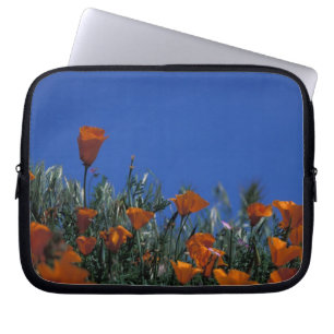 Funda Para Portátil Norteamérica, EE. UU., California, Antelope Valley