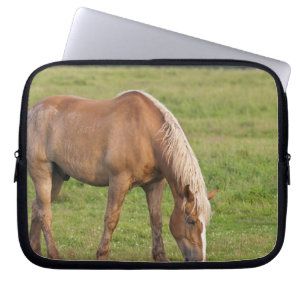 Funda Para Portátil Nuevo Brunswick, Canadá. Caballo en campo.