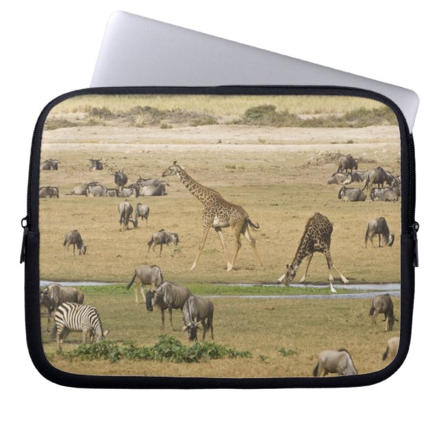 Funda Para Portátil Ñus, Cebras y Jirafas (Frente)