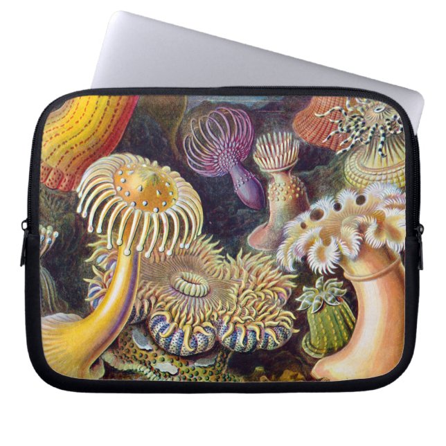 Funda Para Portátil Océano marino Anemone Científico (Frente)