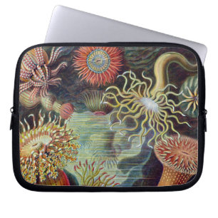 Funda Para Portátil Océano marino Anemone Científico