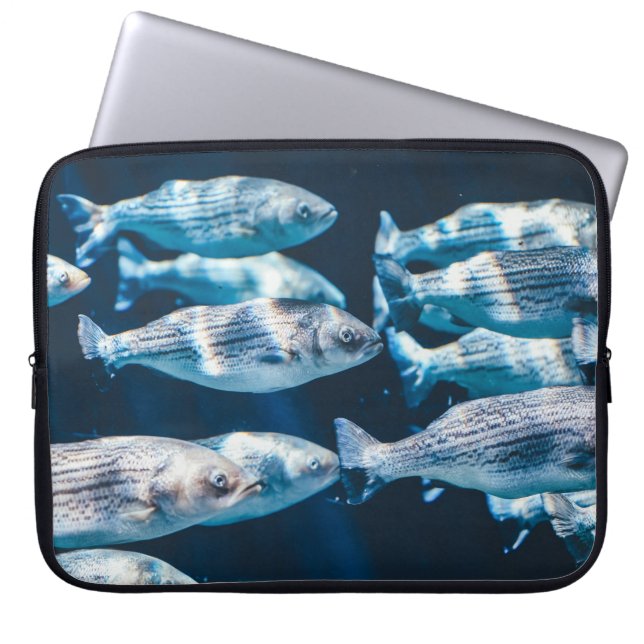 FUNDA PARA PORTÁTIL OJOS DE PESCADO (Frente)