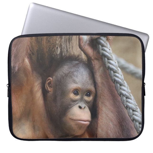 Funda Para Portátil OrangUtan 002 (Frente)