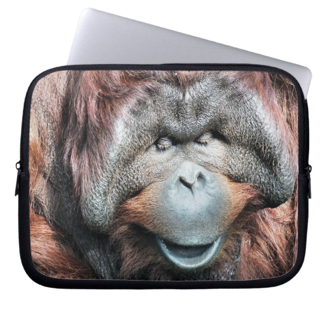 FUNDA PARA PORTÁTIL ORANGUTANOS (Frente)