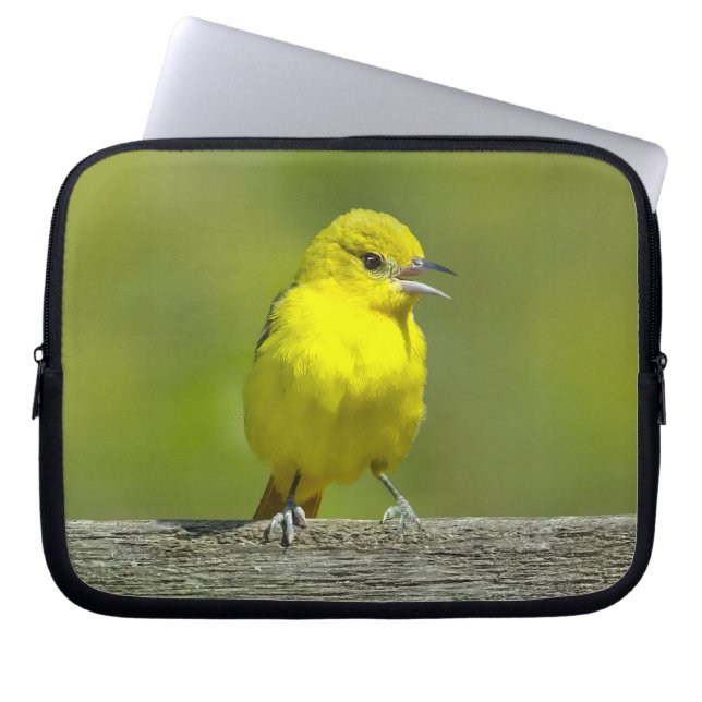Funda Para Portátil Orchard Oriole - Foto original (Frente)