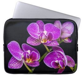 Funda Para Portátil Orquídea púrpura