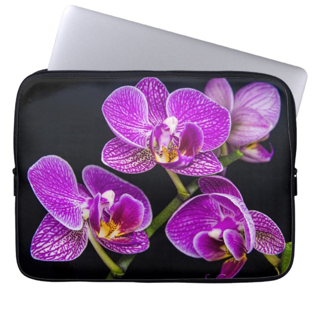 Funda Para Portátil Orquídea púrpura (Frente)