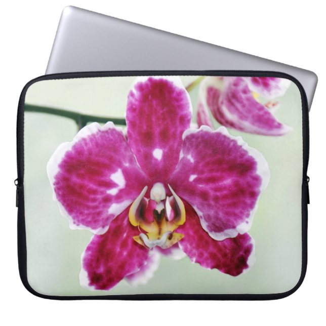 Funda Para Portátil Orquídea rosada (Frente)