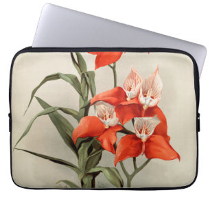 Funda Para Portátil Orquídeas florecientes Flores Vintage Ilustracion 