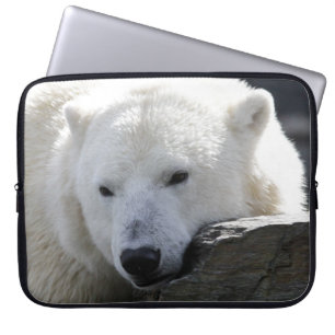 Funda Para Portátil Oso 002