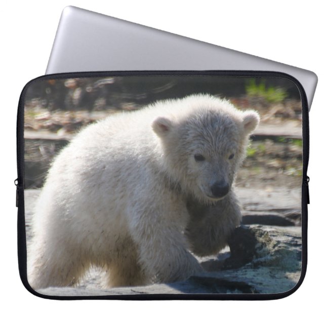 Funda Para Portátil Oso 07 (Frente)