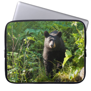 Funda Para Portátil Oso negro curioso