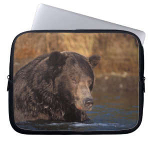 Funda Para Portátil oso pardo, Ursus arctos, oso grizzly, Ursus 5