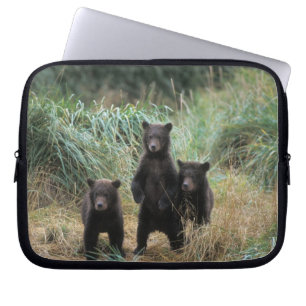 Funda Para Portátil oso pardo, Ursus arctos, oso grizzly, Ursus 7