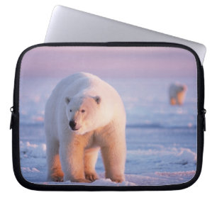 Funda Para Portátil oso polar, Ursus maritimus