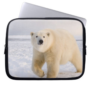 Funda Para Portátil oso polar, Ursus maritimus, en hielo y nieve, 2