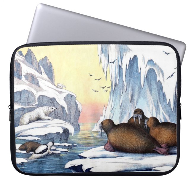 Funda Para Portátil Osos Polares, Agujas Y Sellos (Frente)