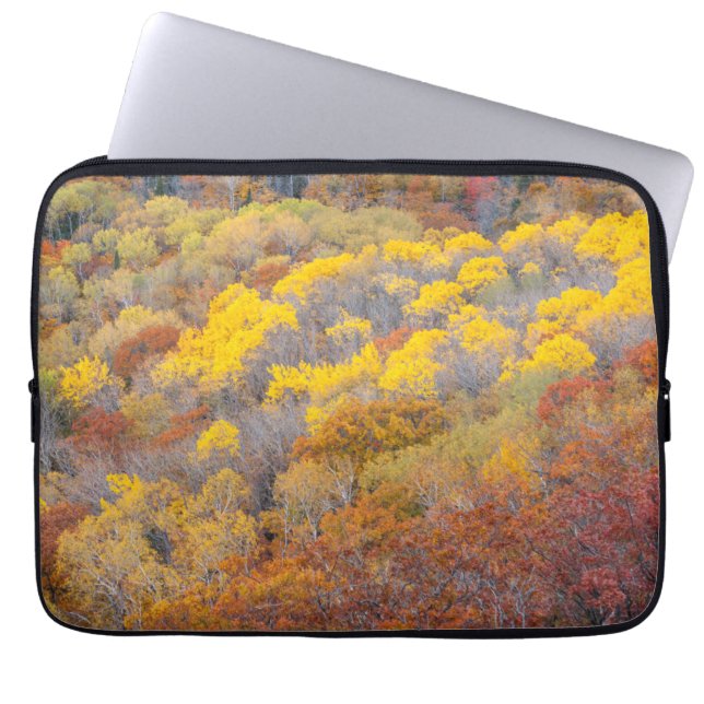 Funda Para Portátil Otoño en Michigan (Frente)
