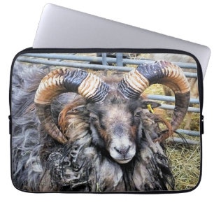 FUNDA PARA PORTÁTIL OVEJAS