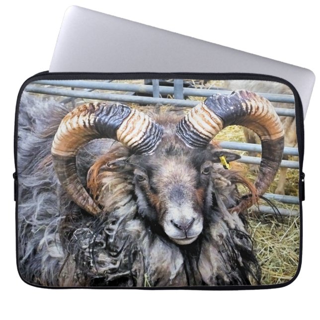 FUNDA PARA PORTÁTIL OVEJAS (Frente)