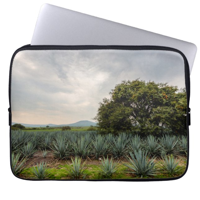 Funda Para Portátil Paisaje con agavo azul (Frente)