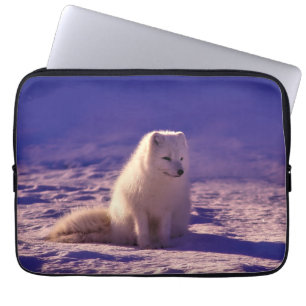Funda Para Portátil Paisaje de nieve en invierno de Fox Ártica