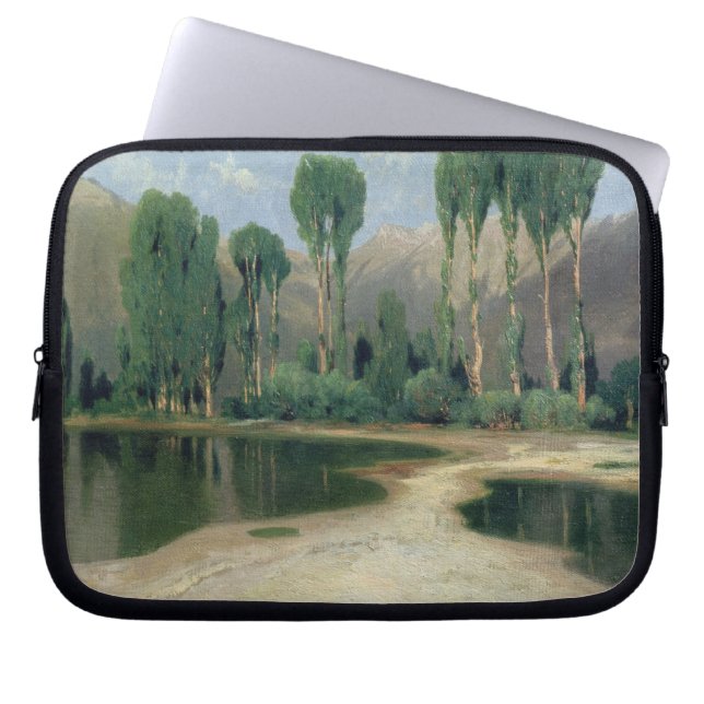 Funda Para Portátil Paisaje suizo (Frente)