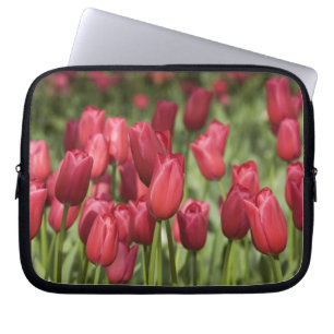 Funda Para Portátil Países Bajos (también conocido como Holanda), Liss