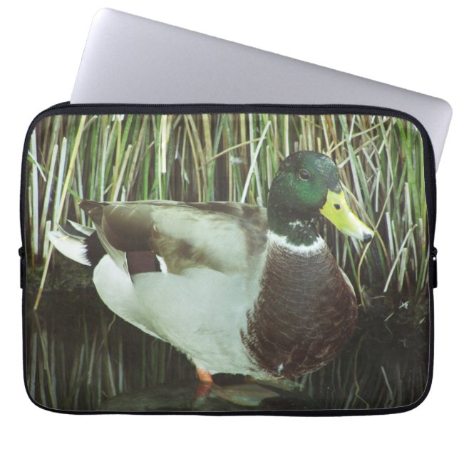 Funda Para Portátil Pájaro del Lago Mallard Distintivo Masculino (Frente)