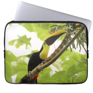 Funda Para Portátil Pájaro exótico de Swainson Toucan