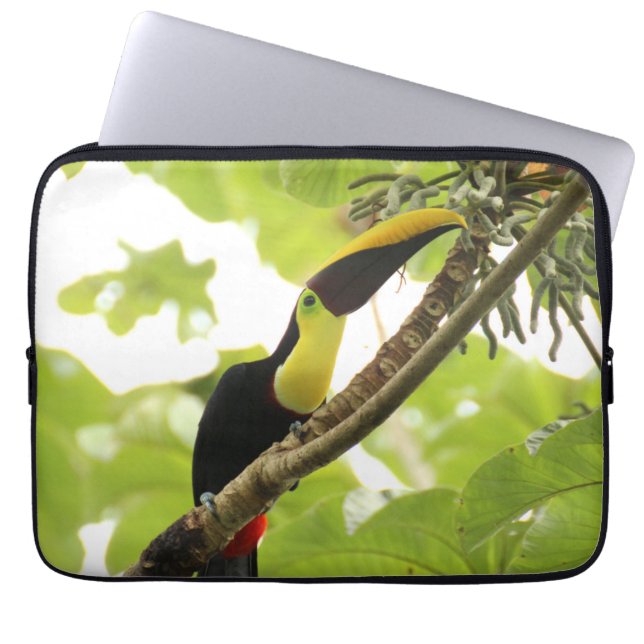 Funda Para Portátil Pájaro exótico de Swainson Toucan (Frente)