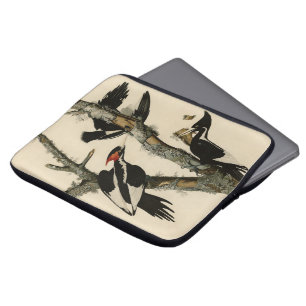 Funda Para Portátil Pájaros de América del pájaro carpintero audubon