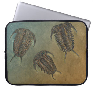 Funda Para Portátil "Paleo-moda" Ceraurus Fossil Trilobita