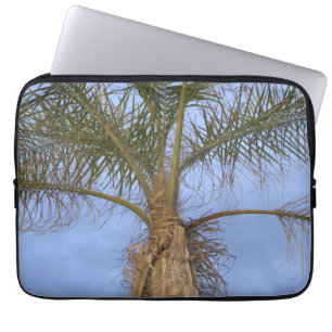 Funda Para Portátil Palm Tree Blue Sky Laptop Sleeve