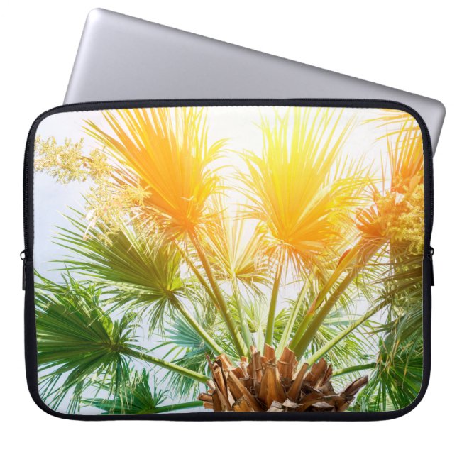 Funda Para Portátil Palmera de palmera brillante fondo de verano. p tr (Frente)