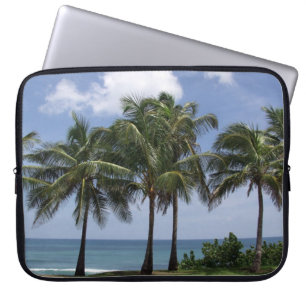 Funda Para Portátil Palmeras