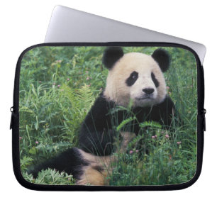 Funda Para Portátil Panda gigante en la hierba, Valle de Wolong, Sichu