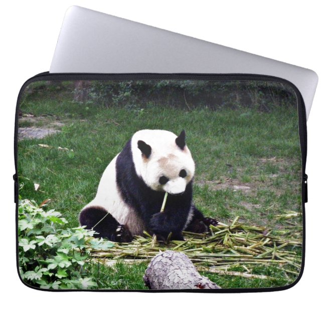 Funda Para Portátil Panda que come el bambú (Frente)