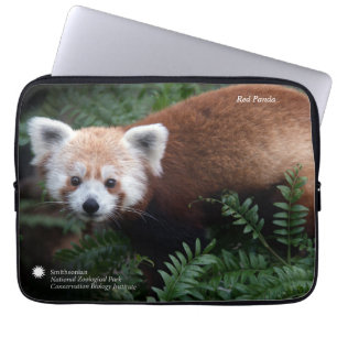 Funda Para Portátil Panda roja de Smithsonian el