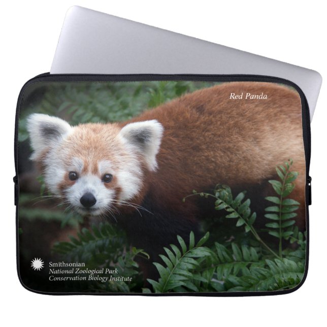 Funda Para Portátil Panda roja de Smithsonian el | (Frente)