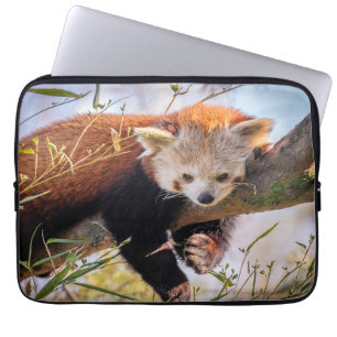 Funda Para Portátil Panda rojiza perezosa