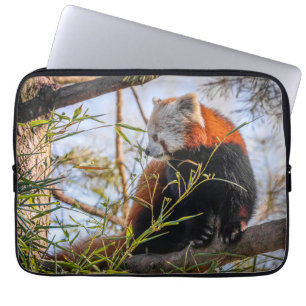 Funda Para Portátil Panda rojo