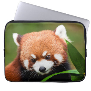 Funda Para Portátil Panda Rojo Lindo