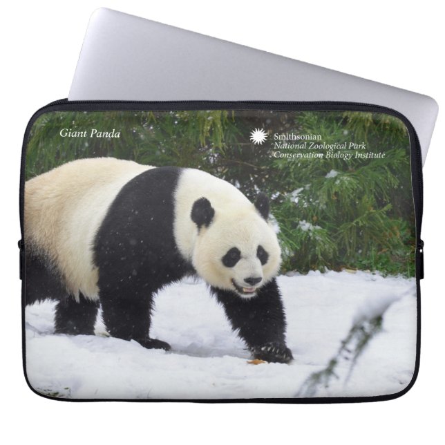 Funda Para Portátil Pandas gigantes de Smithsonian el | en la nieve (Frente)