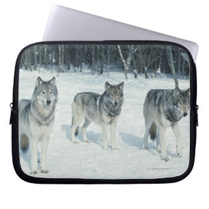 Funda Para Portátil Paquete de lobos en el borde del bosque nevoso