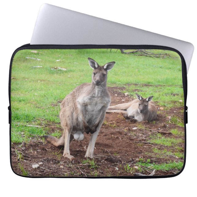 Funda Para Portátil Pareja australiana canguro, (Frente)